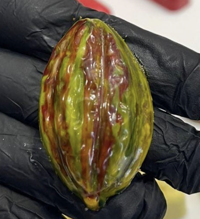 Bonbon4 chocolate creation